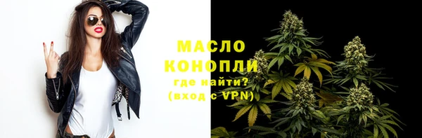 стаф Тайга