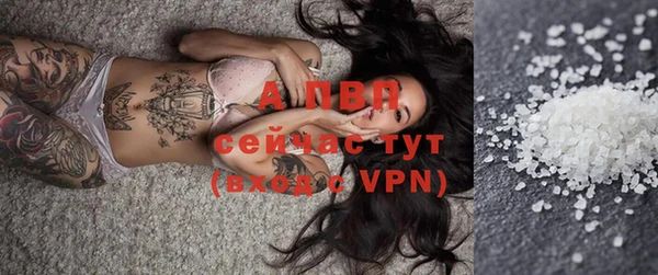 тгк Белокуриха